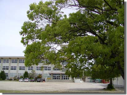 ���z���̍Z��