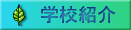 wZЉ