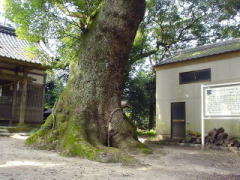 堂ヶ山町