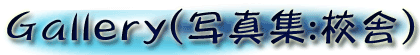 Gallert(�ʐ^�W�F�Z��)